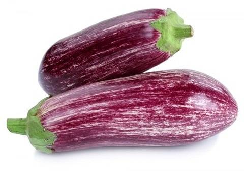 بادمجان ابرقویی